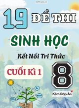 Tuyển tập 19 Đề thi cuối Kì 1 môn Sinh Học 8 sách Kết Nối Tri Thức (Kèm đáp án)